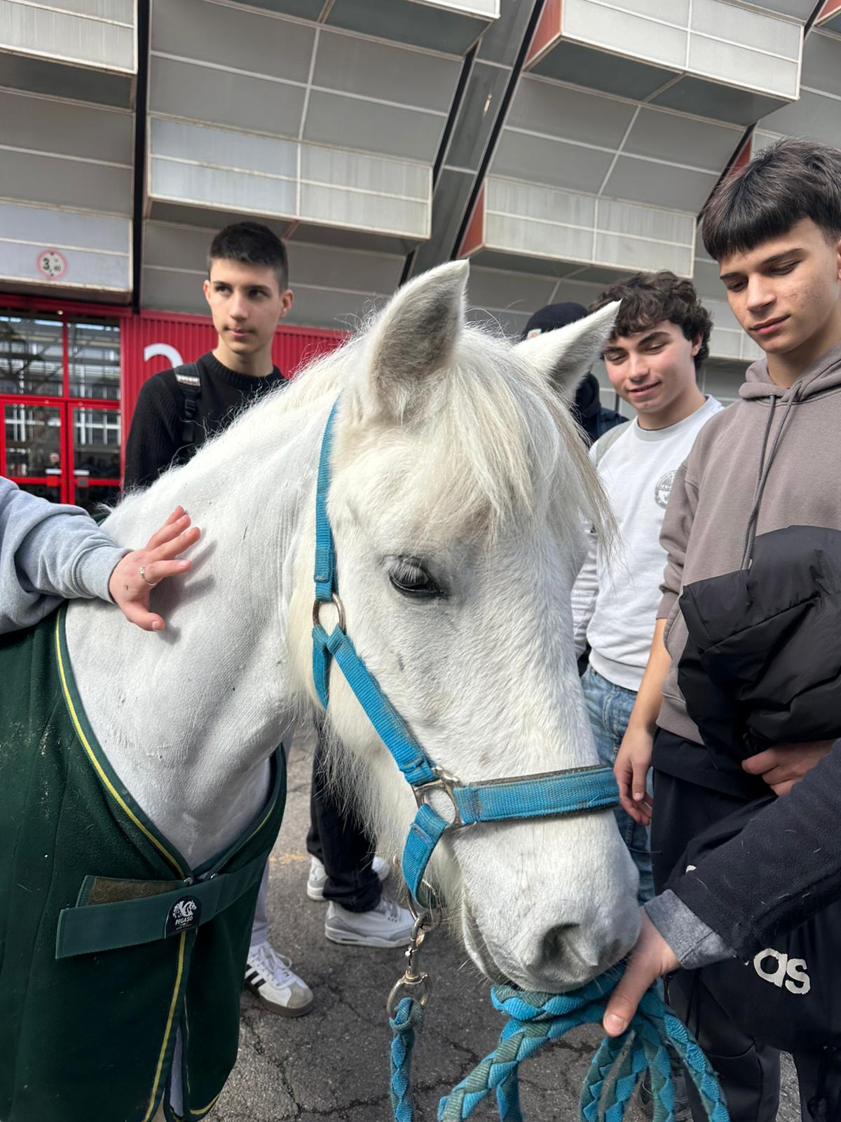 WhatsApp Image 2026 02 24 at 12.29.20 3