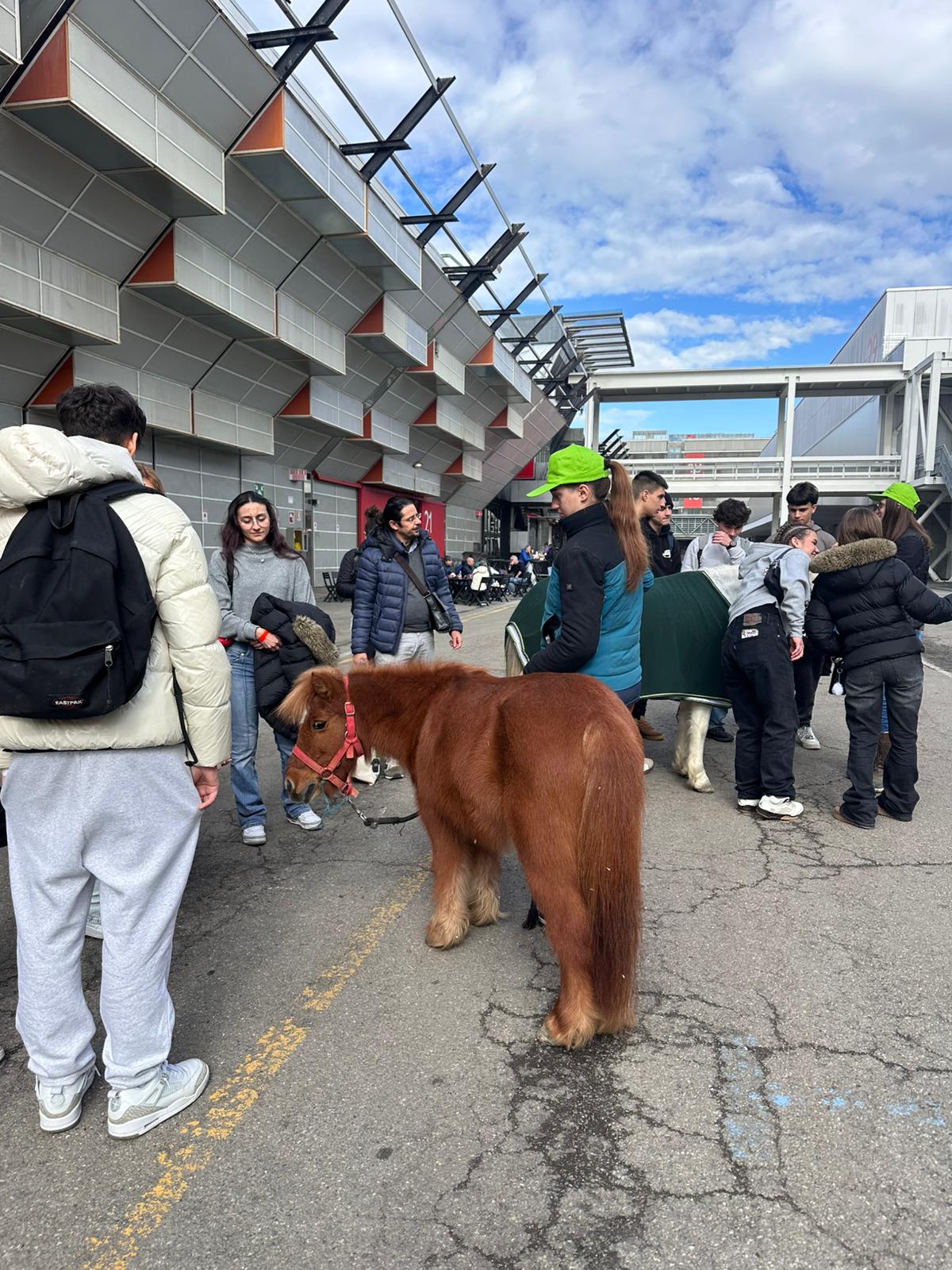 WhatsApp Image 2026 02 24 at 12.29.20 4